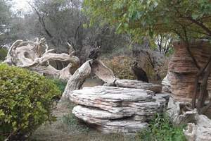 本溪平顶山动物园